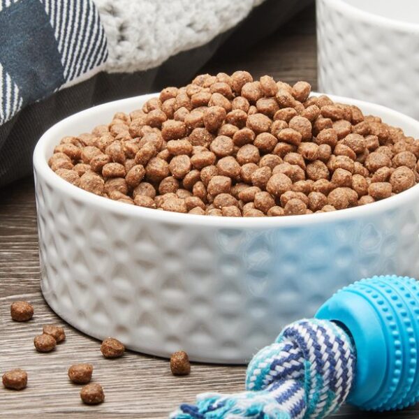 Pure Balance Grain-Free Dry Dog Food, Small Breed Chicken & Pea Recipe, 4 Lbs - Image 3